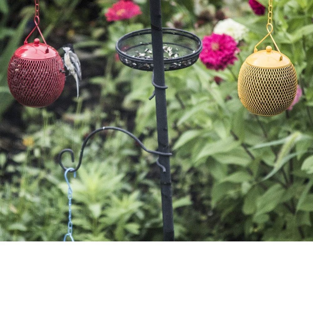 NWT- Globe Bird Feeder - Orange - Picture 8 of 8